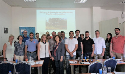 Participants and leaders at the olive oil tasting seminar in Rethymno