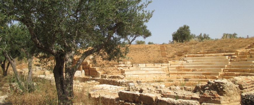 An olive tree next to the back of the amphitheater at Ancient Aptera in Crete