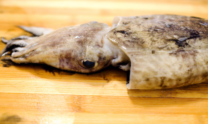 cuttlefish on a cutting board