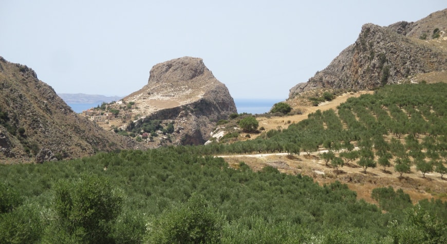 Biolea's olive groves leading up to dramatic view of hills, cliffs, sea, and sky