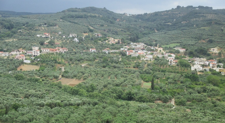 Olive groves in the valley below Vouves, inland from Kolymvari