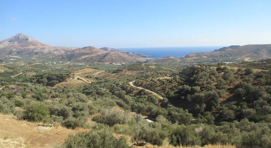 olive groves, hills, sea, and sky in south central Crete
